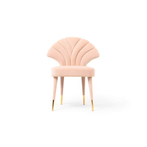 Coquille